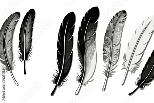 Elegant Feather Art- Black and White Feather Collection- Detailed Feather Illustrations- Minimalist Feather Design- Artistic Feather Display- Plume Art Prints