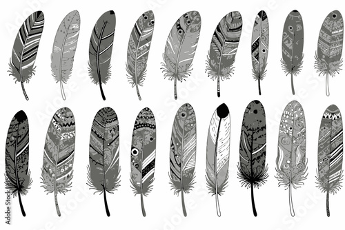 Elegant Feather Collection - Intricate Black and White Designs - Decorative Feather Art Prints - Feather Pattern Background for Crafts and Design - Tribal Feather Illustration