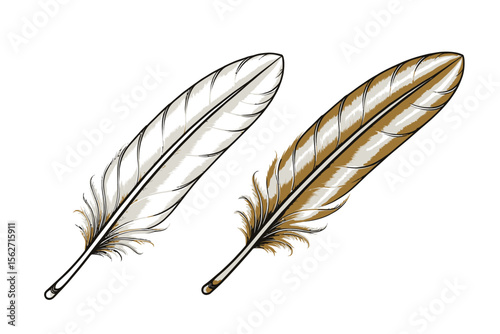 Elegant Feather Illustration- White and Golden Feathers on White Background- Quill Pen Design Element- Artistic Feather Details- Bird Plumage Art