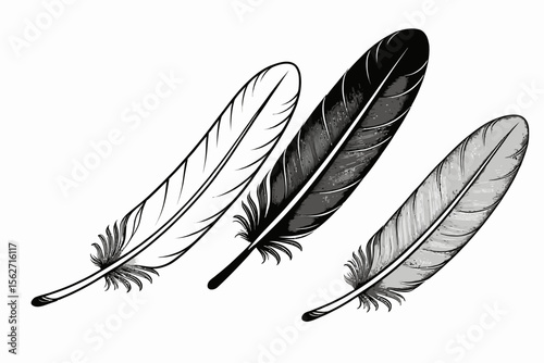 Elegant Feather Line Art-Minimalist Feather Illustration-Black and White Feather Drawing-Delicate Feather Design-Simple Feather Graphic-Feather for Crafts and Decor