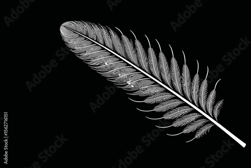 Elegant Feather on Black Background- Abstract Illustration of White Feather- Minimalist Art of Plume- Detailed Feather Drawing- Artful Feather Illustration
