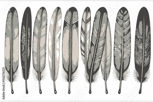 Elegant Feathers Art- Colorful Feather Designs- Detailed Feather Illustrations- Bohemian Home Decor- Native American Inspired- Bird Feather Artwork- Artistic Feathers Drawing