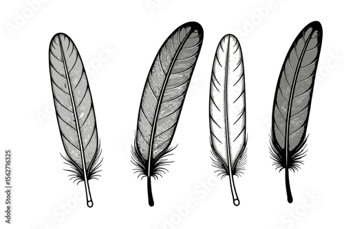 Elegant Feathers Artwork- Black and White Feather Illustrations- Intricate Feather Designs for Art Projects- Set of Four Detailed Feathers- Artistic Feather Motifs- Decorative Feather Elements
