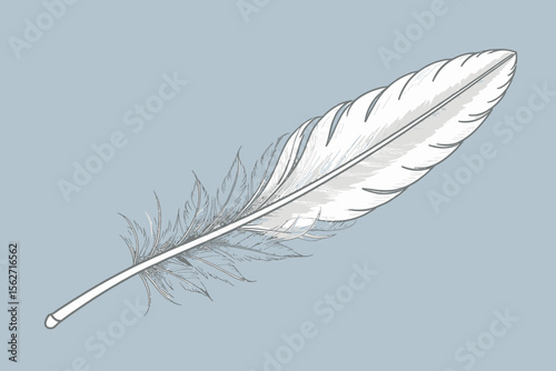 Elegant White Feather Illustration on Blue Background- Detailed Bird Feather Drawing- Light and Airy Feather Design- Unique Feather Art for Creative Projects