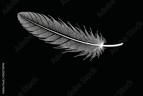 Elegant White Feather on Black Background - Minimalist Art - Bird Feather Illustration - Delicate Feather Detail - Soothing Visuals - Simple Black and White Image