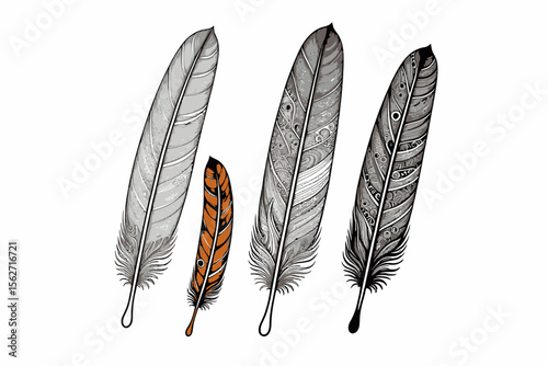 Feather Art Illustration - Intricate Feather Designs on White Background - Decorative Feathers with Detailed Patterns - Artistic Feather Drawing for Creative Projects