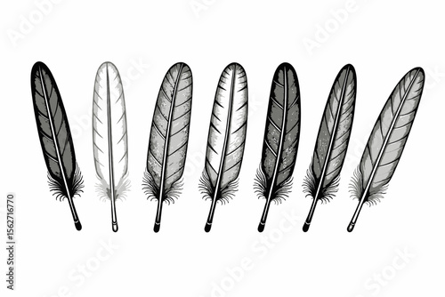 Feather Collection-Detailed Feather Illustrations-Black and White Feather Graphics-Unique Feather Art-Feathers Isolated on White-Drawing of Feathers-Bird Feather Image