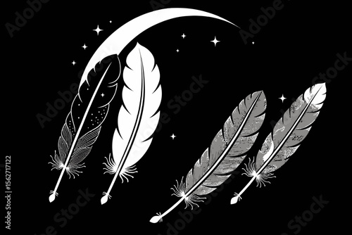 Feathers and Crescent Moon Art-Elegant Black and White Feather Illustration-Dreamy Celestial Art with Feathers-Night Sky Feather Design-Unique Feather Art for Decor