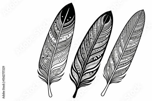 Intricate Feather Designs- Detailed Black and White Illustrations- Native American Inspired Art- Zen Art Therapy- Artistic Feather Collection- Hand Drawn Feather Motifs- Tribal Art Elements