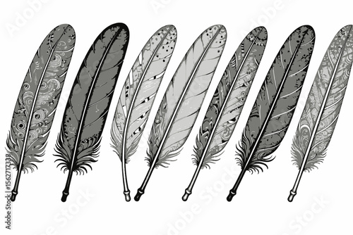 Intricate Feather Designs-Detailed Feather Illustrations-Bohemian Inspired Art-Black and White Feathers-Unique Feather Patterns-Artistic Feathers on White Background