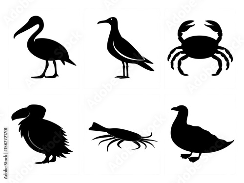Collection of black silhouette illustrations of various sea creatures and birds
