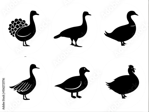 Collection of six black silhouette poultry icons on white circles against a dark gray background
