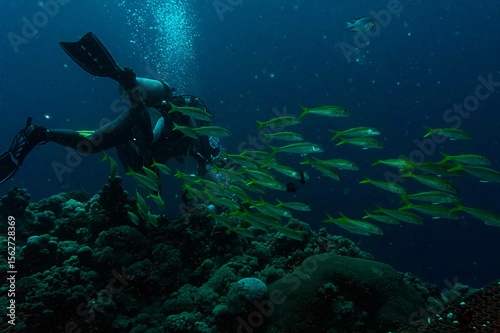 Wallpaper Mural scuba diver and coral reef with school of fish Torontodigital.ca
