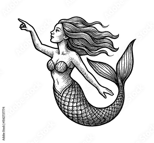 Detailed Engraving of Elegant Mermaid Pointing Upward with Flowing Hair Illustration