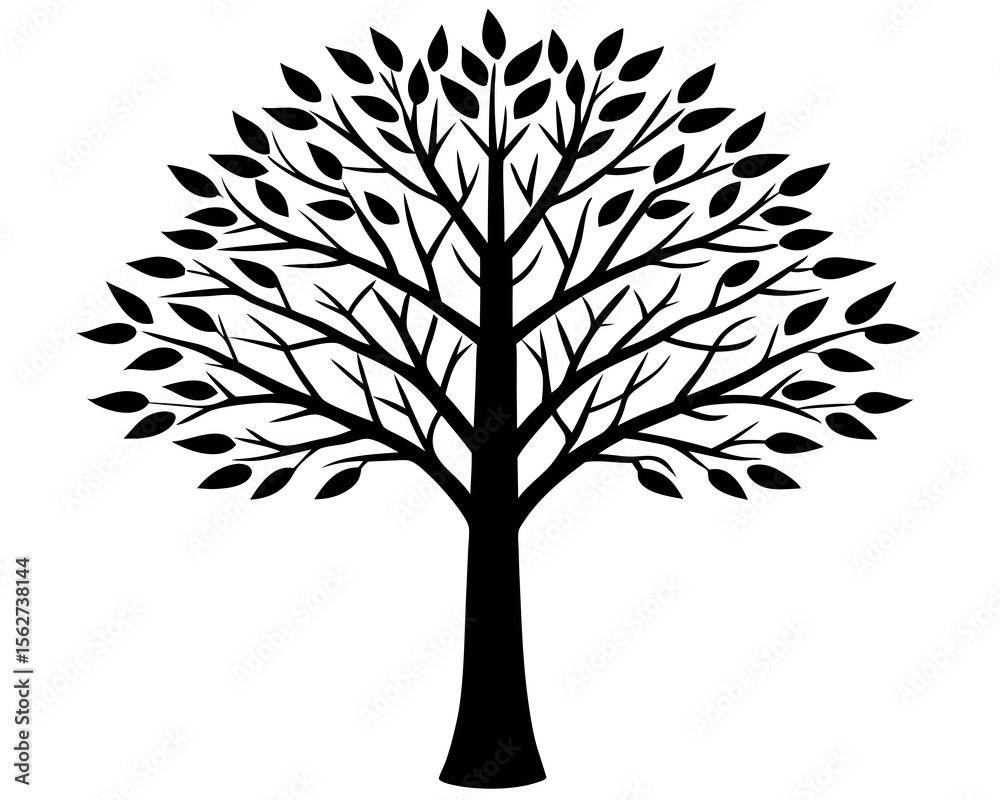 Obraz premium Birch tree vector silhouette illustration isolated on white background