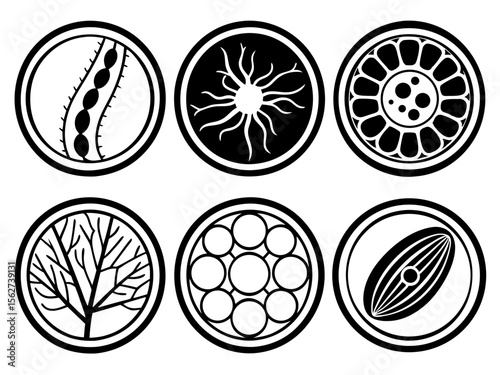 Collection of six circular scientific icons representing microscopic organisms and structures