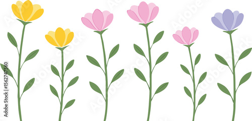 Yellow pink and purple flowers with green stems and leaves yellow flowers pink flowers