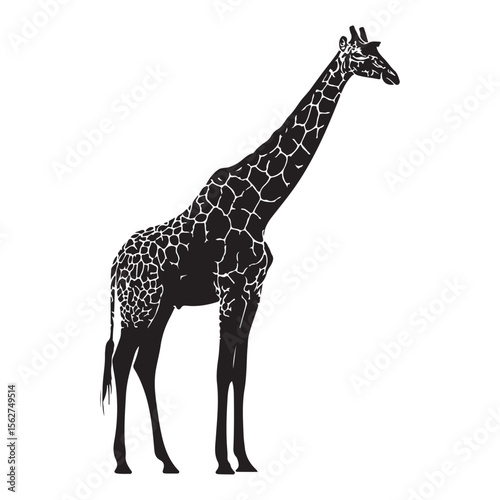 Black silhouette of giraffe full body, A silhouette of a giraffe standing against a plain white background, A black Silhouette giraffe animal