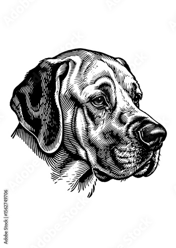 Cute Dog Illustration