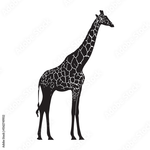 Black silhouette of giraffe full body, A silhouette of a giraffe standing against a plain white background, A black Silhouette giraffe animal