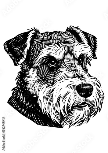 Cute Dog Illustration