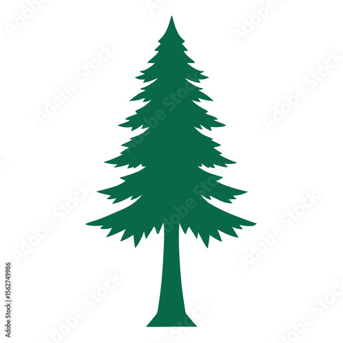 Cypress tree vector silhouette illustration isolated on white background