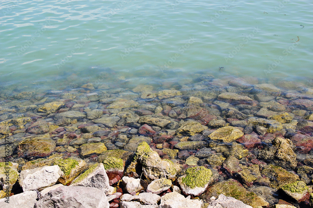 Water of Lake Balaton Close Up, Hungary Water of Lake Balaton Close Up, Hungary