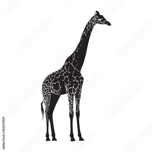 Black silhouette of giraffe full body, A silhouette of a giraffe standing against a plain white background, A black Silhouette giraffe animal