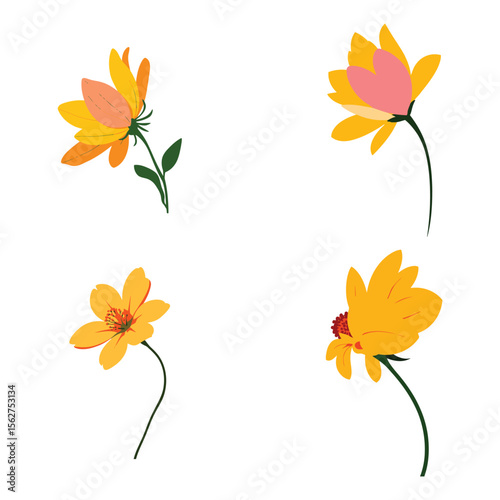 Four stylized yellow orange wildflowers isolated on white background