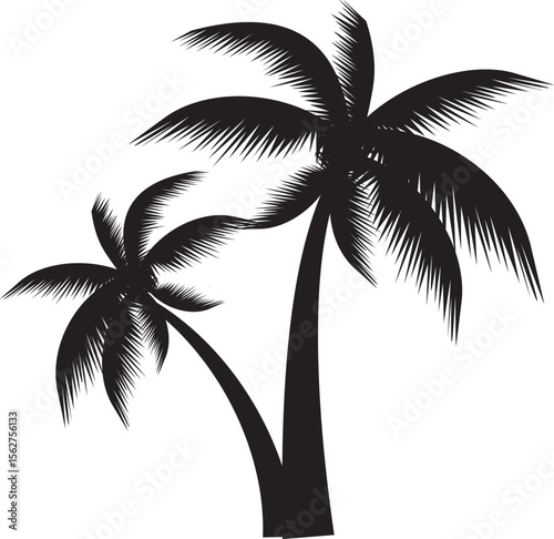silhouette of palm trees