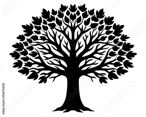 Elm tree vector silhouette illustration isolated on white background