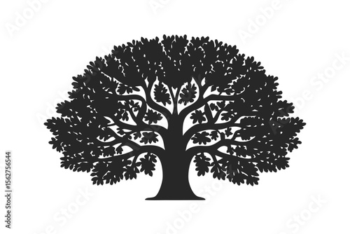 Elm tree vector silhouette illustration isolated on white background