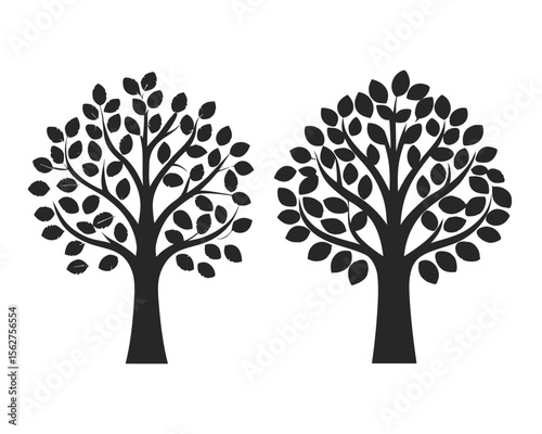 Elm tree vector silhouette illustration isolated on white background