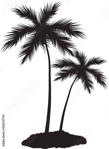 palm tree silhouette