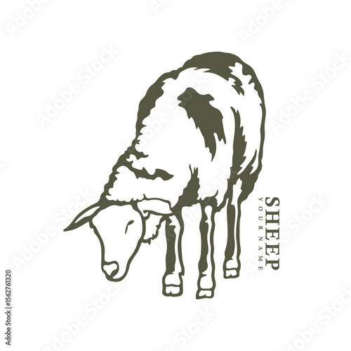 Sheep logo design vector. Silhouette Sheep Template Illustration. Icon Symbol