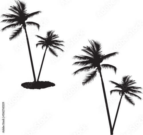 palm tree silhouette