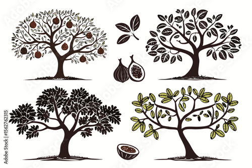 set of Fig Tree vector silhouette illustration isolated on white background