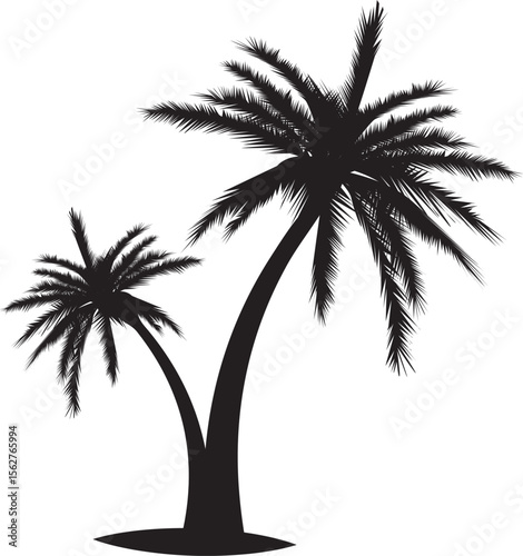palm trees silhouettes