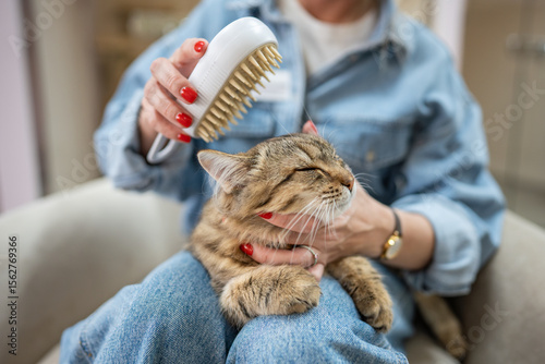 Animal hotel worker gently grooming cat with steam brush, massaging hair, removing knots. Woman care for pet, cat content, stretching back, feeling relaxed, luxury animal services. Healthy cat retreat