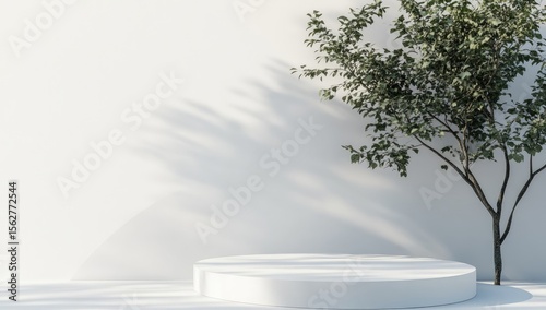 Minimalist white scene with a round pedestal and a small tree