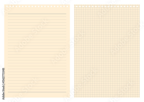 Vector Illustration of White Graph Paper Sheet with Grid Lines for Technical and Math Templates