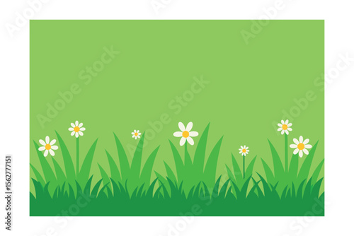Vibrant Spring Meadow Daisies and Lush Green Grass Illustration