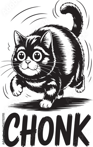 Black and white cat vector illustration, a cute cartoon kitten animal design