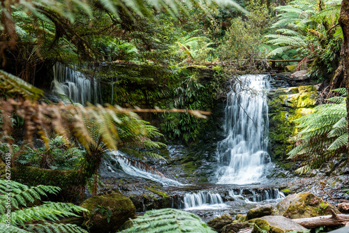 tourist hiking in a national park, taking a photo and looking at a waterfall in a forest in tasmania australia