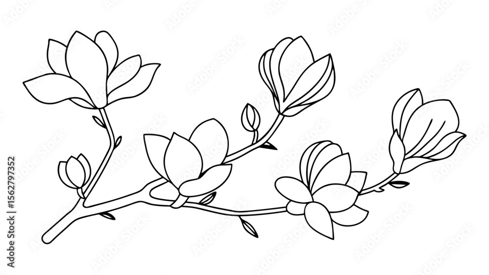 Fototapeta premium Magnolia flower, magnolia tree branch line art