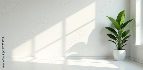 Sunlit minimalist white studio room, leaf shadows on wall and floor , photography, modern, room