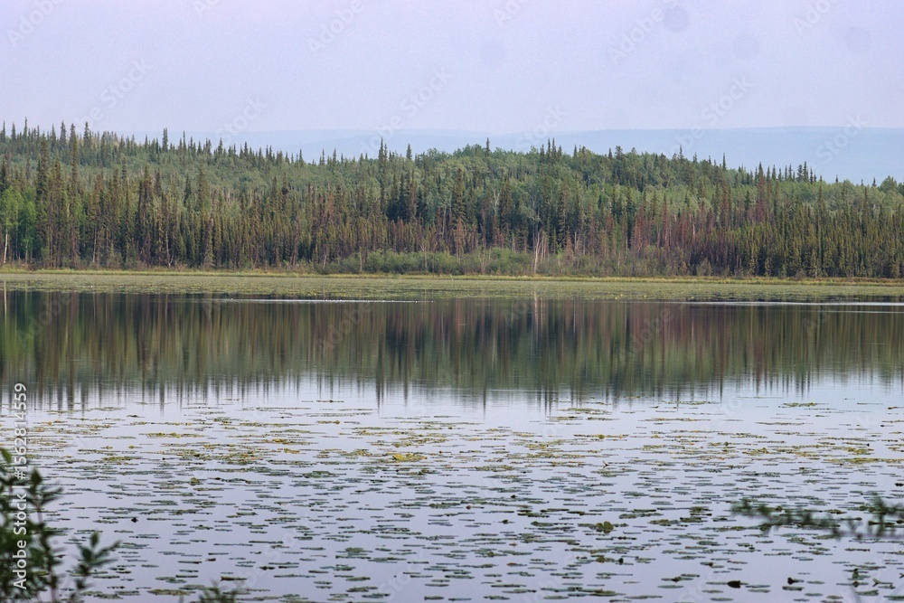 Fototapeta premium Yukon Territories, Canada