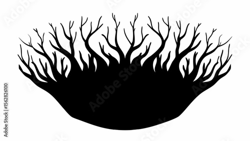 Silhouette of a dense thicket of bare trees with multiple branches against a stark white background view