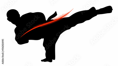 Silhouette of a martial artist performing a side kick with a red energy line on a white background