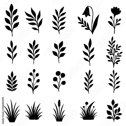Collection of Black Silhouettes Botanical Elements And Icons
